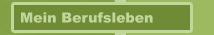 Mein Berufsleben