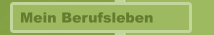 Mein Berufsleben